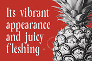 Mafian Tall Serif Display Font, a Serif Font by timelesstype.co (Thumbnail 9 of 20)