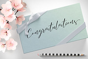 Bounderas Script, a Script Font by individuel (Thumbnail 4 of 8)