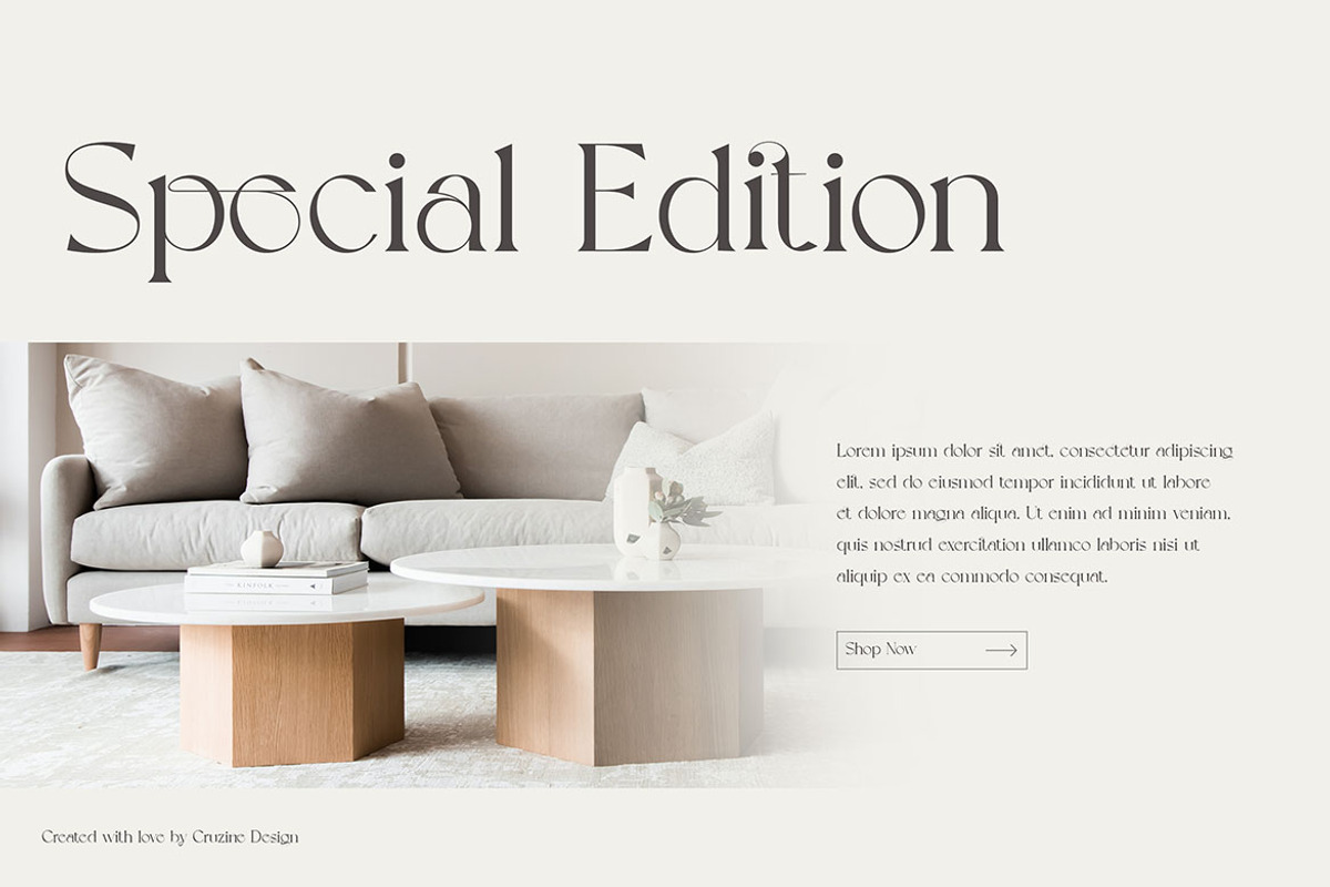 Grapevine - Modern Serif Font, a Serif Font by Cruzine (Photo 3 of 8)
