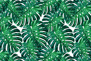 Tropical Leaves - Seamless Pattern, a Pattern Graphic by Talip Memis (Thumbnail 1 of 6)