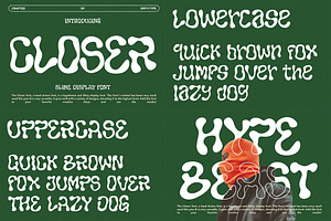 Font Bundle - Display Collection