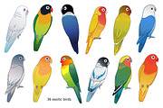 Tropical birds & flowers, an Object Graphic by Anastasia (Thumbnail 9 of 12)