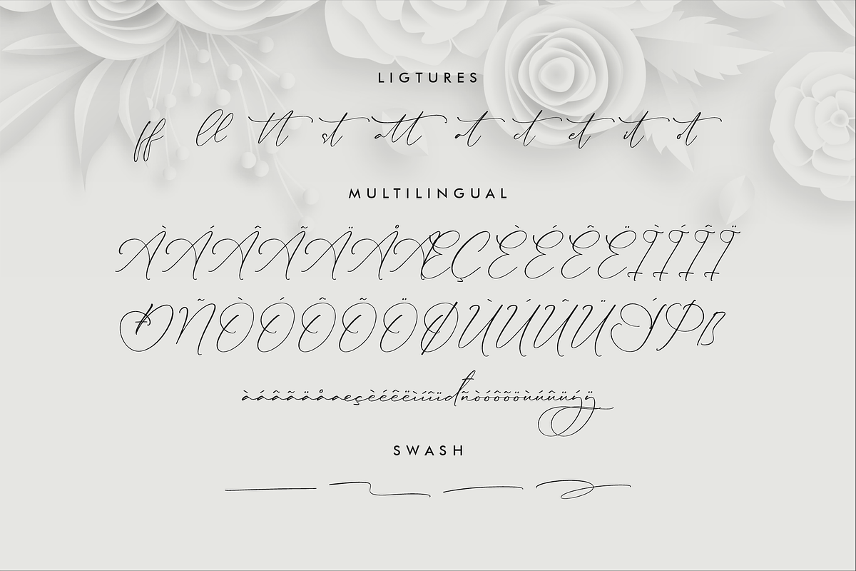 Lillywhite A Beautiful Script Font, a Script Font by Storytype Studio (Photo 14 of 15)