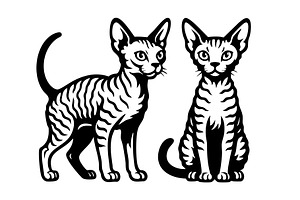 Two devon rex cats sitting together, an Animal Illustration by yod67