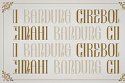 Blossom - Modern Serif Font, a Serif Font by Luna Shop (Thumbnail 4 of 8)
