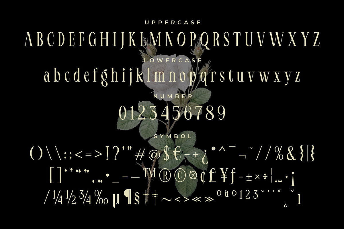 LT Serif - Modern Serif Font, a Serif Font by limitype (Photo 7 of 9)
