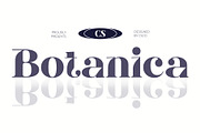 CS Botanica – Elegant Font, a Serif Font by Craft Supply Co. (Thumbnail 1 of 8)