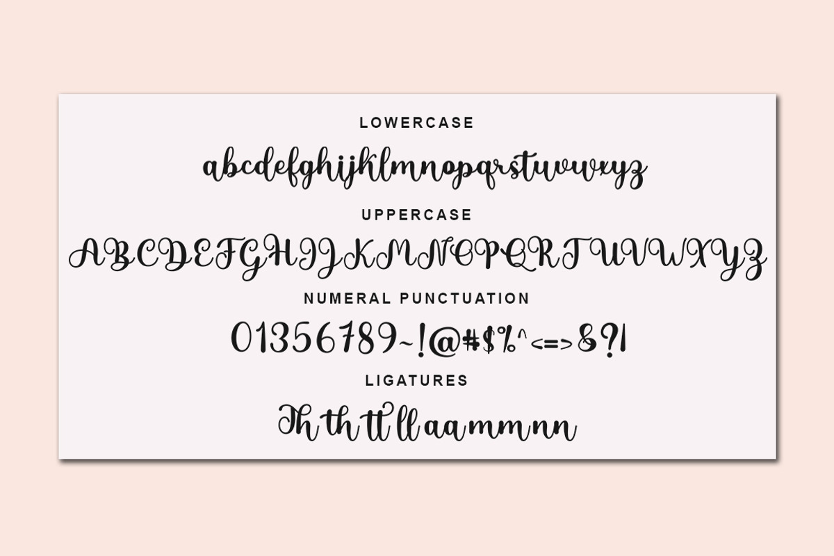 Berlyn Script, a Script Font by Bosstype Studio (Photo 5 of 8)