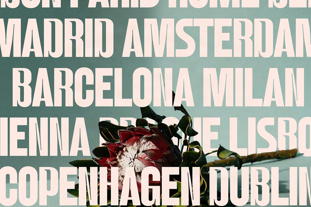 Rettiko - Bold Condensed Typeface, a Sans Serif Font by SilverStag Type Foundry (Photo 13 of 20)