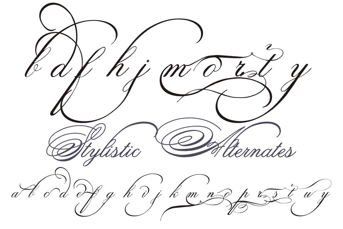 Spencerian Palmer Penmanship PRO preview 5