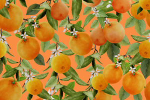 Leaf And Orange Fruit