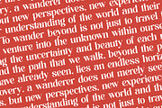 Beyond Wandler Modern Serif Font, a Serif Font by timelesstype.co (Thumbnail 17 of 20)