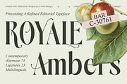 Royale Ambers Editorial Serif, a Serif Font by timelesstype.co (Thumbnail 1 of 10)