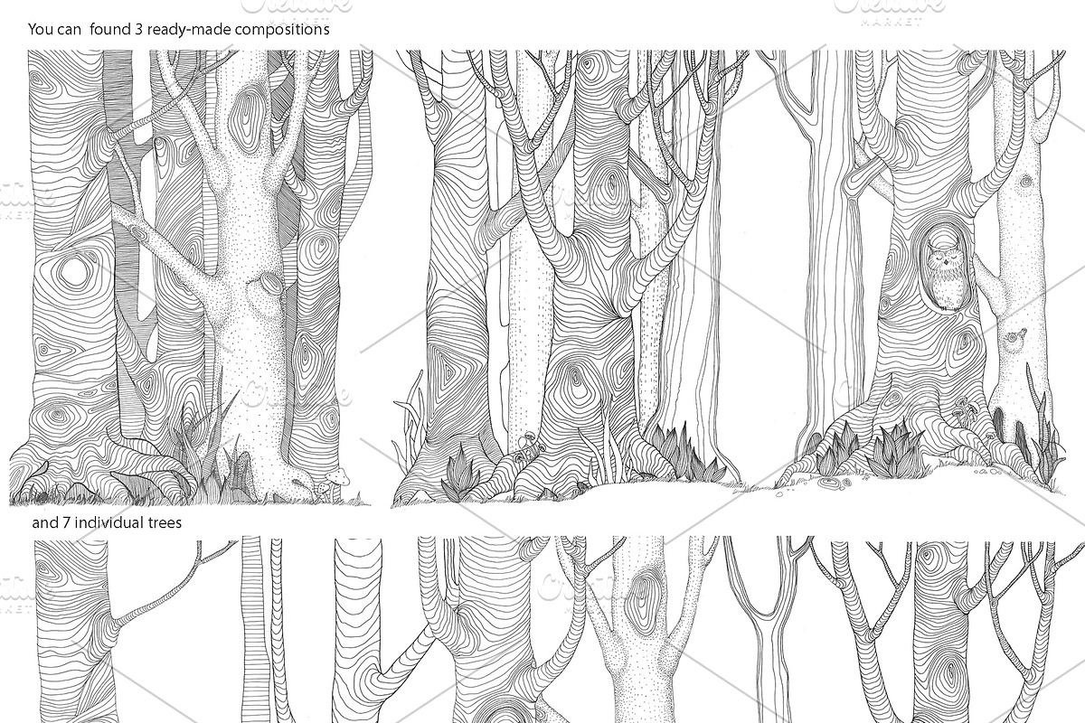 My Forest, an Animal Illustration by YuliaBiser (Photo 3 of 5)
