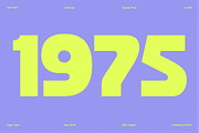 403 FEST, a Sans Serif Font by 403 Type Foundry (Thumbnail 4 of 16)