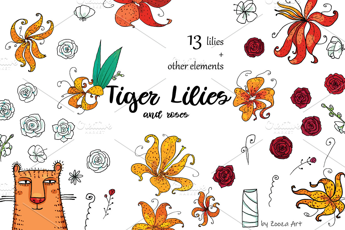 Tiger Lilies & Roses - clip-art, an Illustration by Zooza Art (Photo 14 of 15)