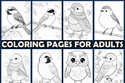 Realistic Winter Bird Coloring Pages, an Animal Illustration by maggiesar (Thumbnail 3 of 4)