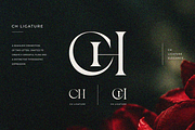 Bayari, a Serif Font by zaaintype (Thumbnail 3 of 11)