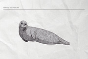 The Seagulls and  Their Sea Friends, an Animal Illustration by Kurakoza (Thumbnail 6 of 18)