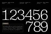 GC Beluga Mono - Elegant Modern Mono, a Serif Font by Glyphonic (Thumbnail 4 of 15)