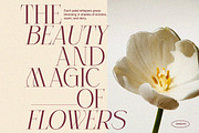 Celestira - Modern Elegant Luxury, a Serif Font by Qweera Studio (Thumbnail 2 of 12)