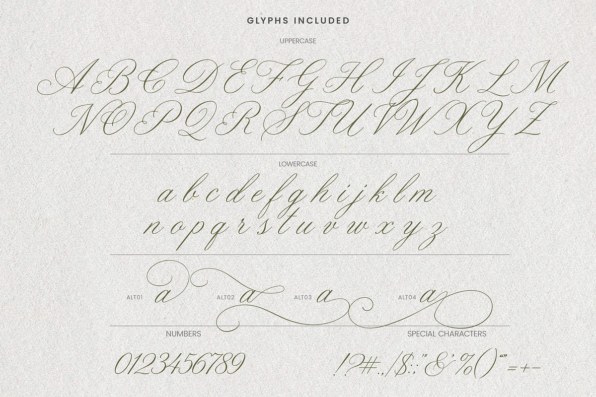Jane Eyre - Luxury Script Font, a Script Font by AndrewPixelType (Photo 16 of 16)