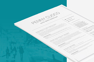 Resume Template Volantis B