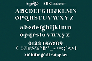 Angela, a Serif Font by Sealoung (Thumbnail 16 of 16)