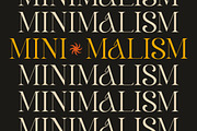 Klandestin Modern & Classical Serif, a Serif Font by Lettertype Studio (Thumbnail 9 of 20)