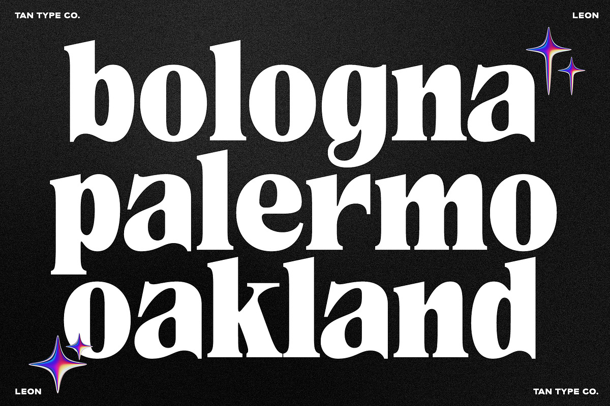 TAN - LEON, a Serif Font by TanType (Photo 4 of 10)