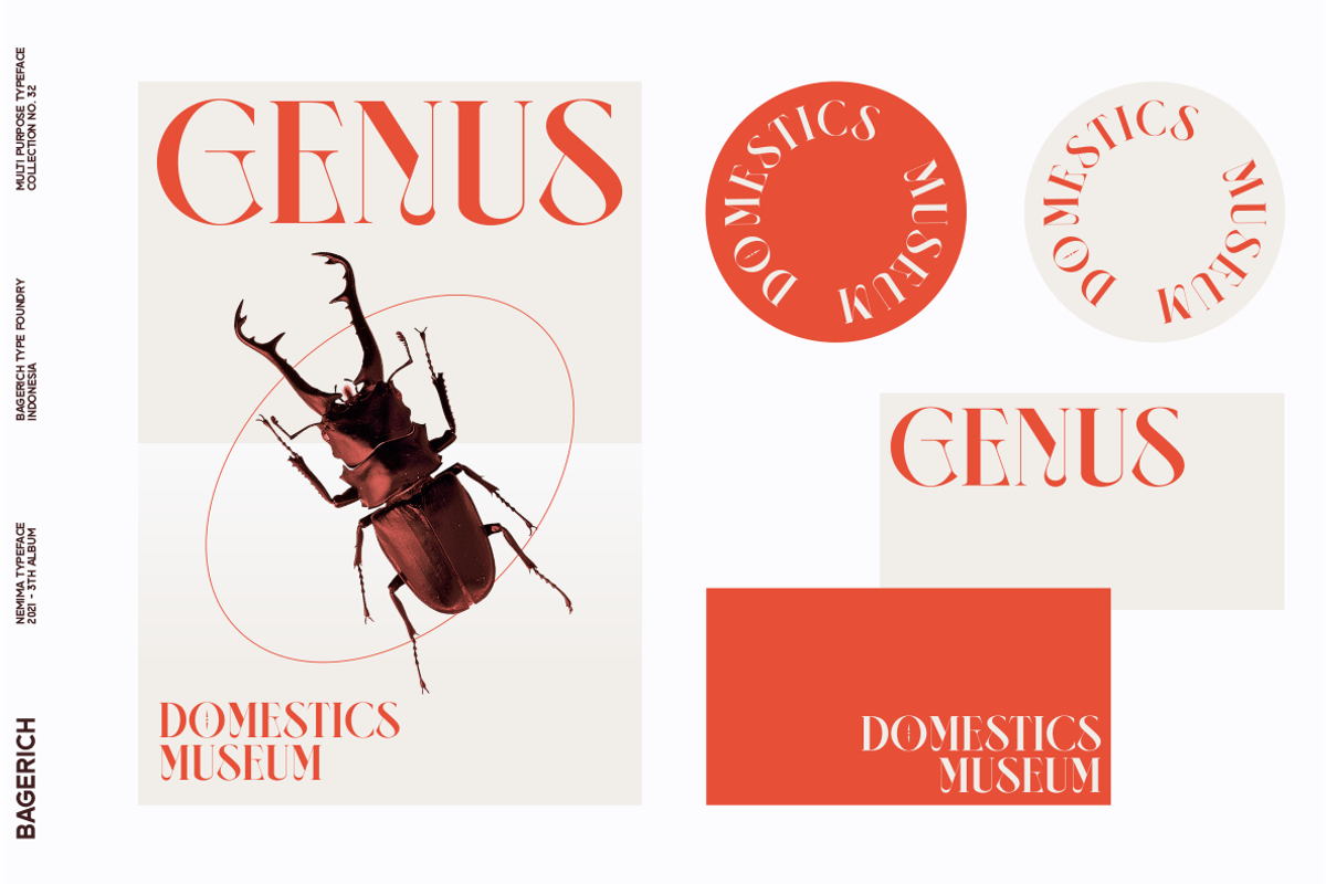 NEIMA, a Serif Font by Bagerich Type Foundry (Photo 15 of 15)