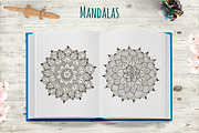 Coloring Pages New Collection, an Animal Illustration by Gulnara Sabirova (Thumbnail 6 of 6)
