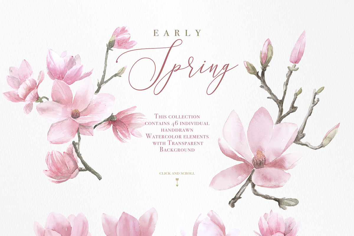 Spring Watercolor Illustration, an Animal Illustration by beehouse studio (Photo 3 of 11)