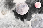 SPIRITUAL, an Animal Illustration by Chus Moreno Studio (Thumbnail 6 of 17)