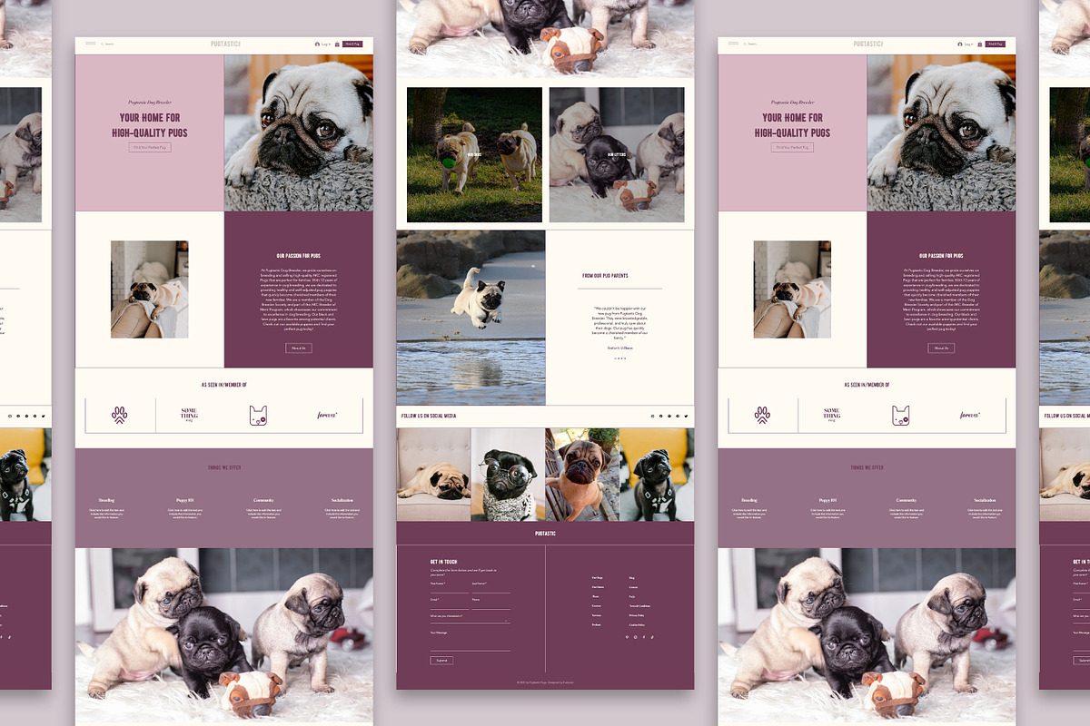Pugtastic Wix Website Template, a Wix Template by Girl Boss From Home (Photo 5 of 6)