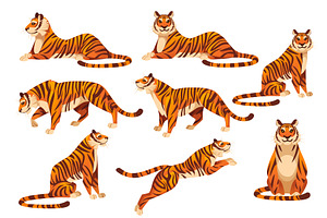 Set of adult big red tiger wildlife