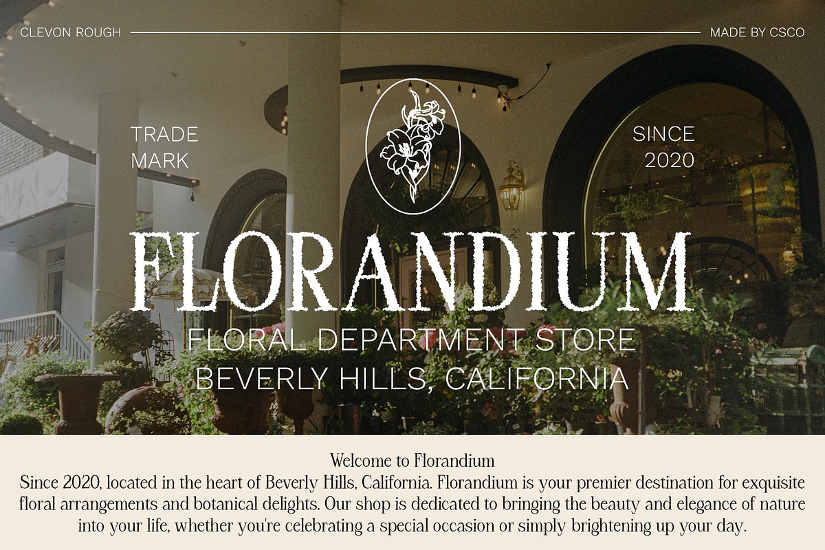 Clevon Rough, a Serif Font by Craft Supply Co. (Photo 2 of 8)