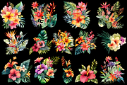 Tropical Flowers Watercolor Sublimat, a Decorative Illustration by ElenazlataArt (Thumbnail 3 of 4)