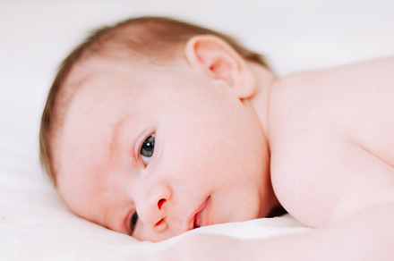 portrait of a newborn in studio lighting against white, a Person Photo by rubenchase