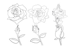 Rose Outline Set 2 Procreate Brush