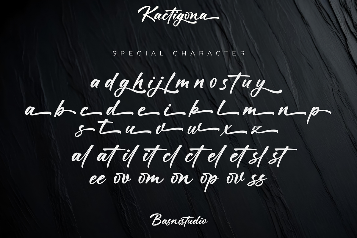 Kactigona – Bold Handwritten Font, a Script Font by Basnistudio (Photo 10 of 12)