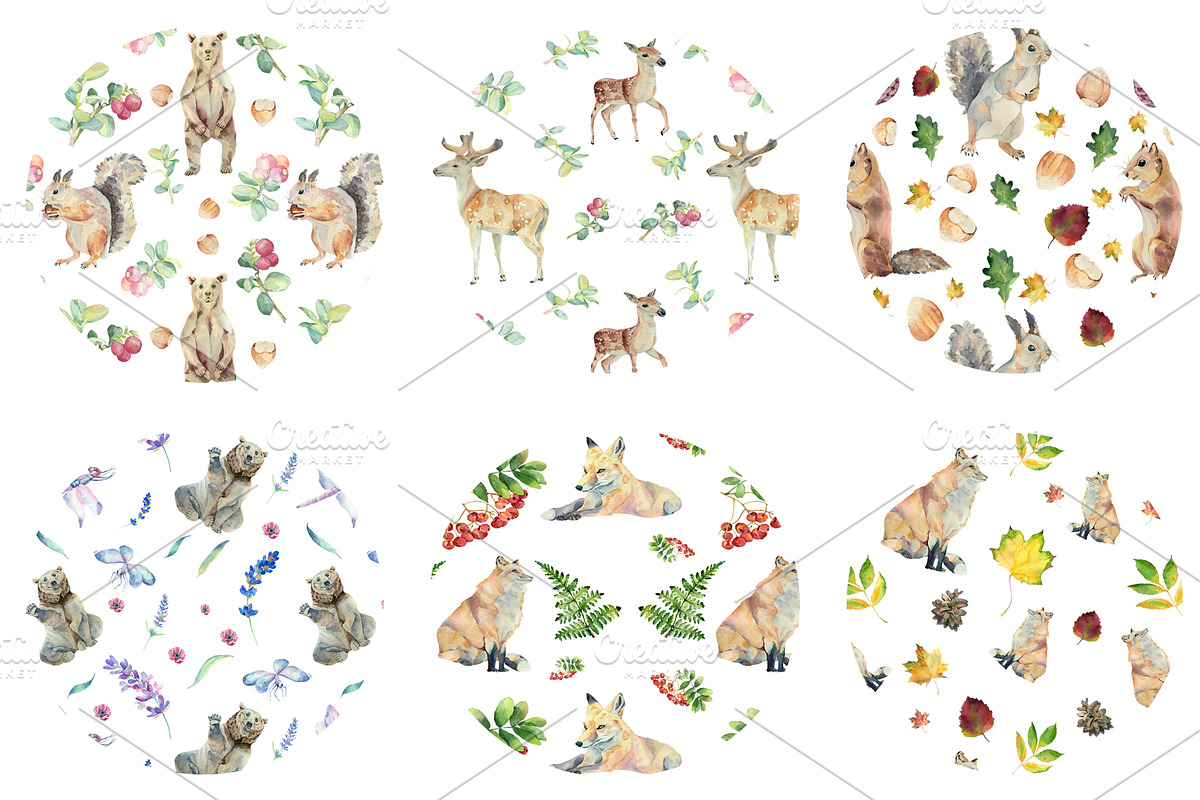 Watercolor forest animals, an Animal Illustration by Watercolor arts (Photo 4 of 6)