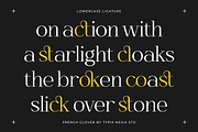 French Clover - Ligature Serif, a Serif Font by Typia Nesia (Thumbnail 6 of 13)