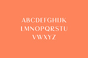 Brightwood Classic Serif Font, a Serif Font by UICreative (Thumbnail 8 of 13)