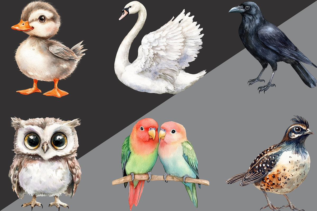 Cute Birds Clipart, an Illustration by Black Bird Studio (Photo 2 of 6)