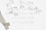 FONT DUO / STRANDLIEBE & kleinigkeit, a Serif Font by KruthDesign (Thumbnail 4 of 13)