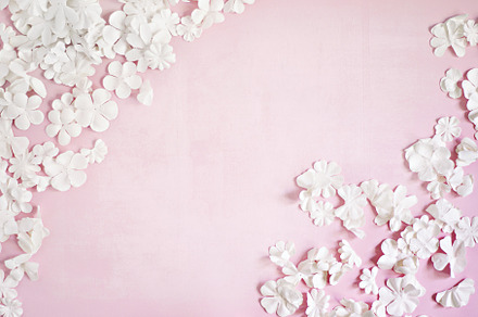 White Paper Flowers on Pink, a Photo by Alicia Youngken Photo's