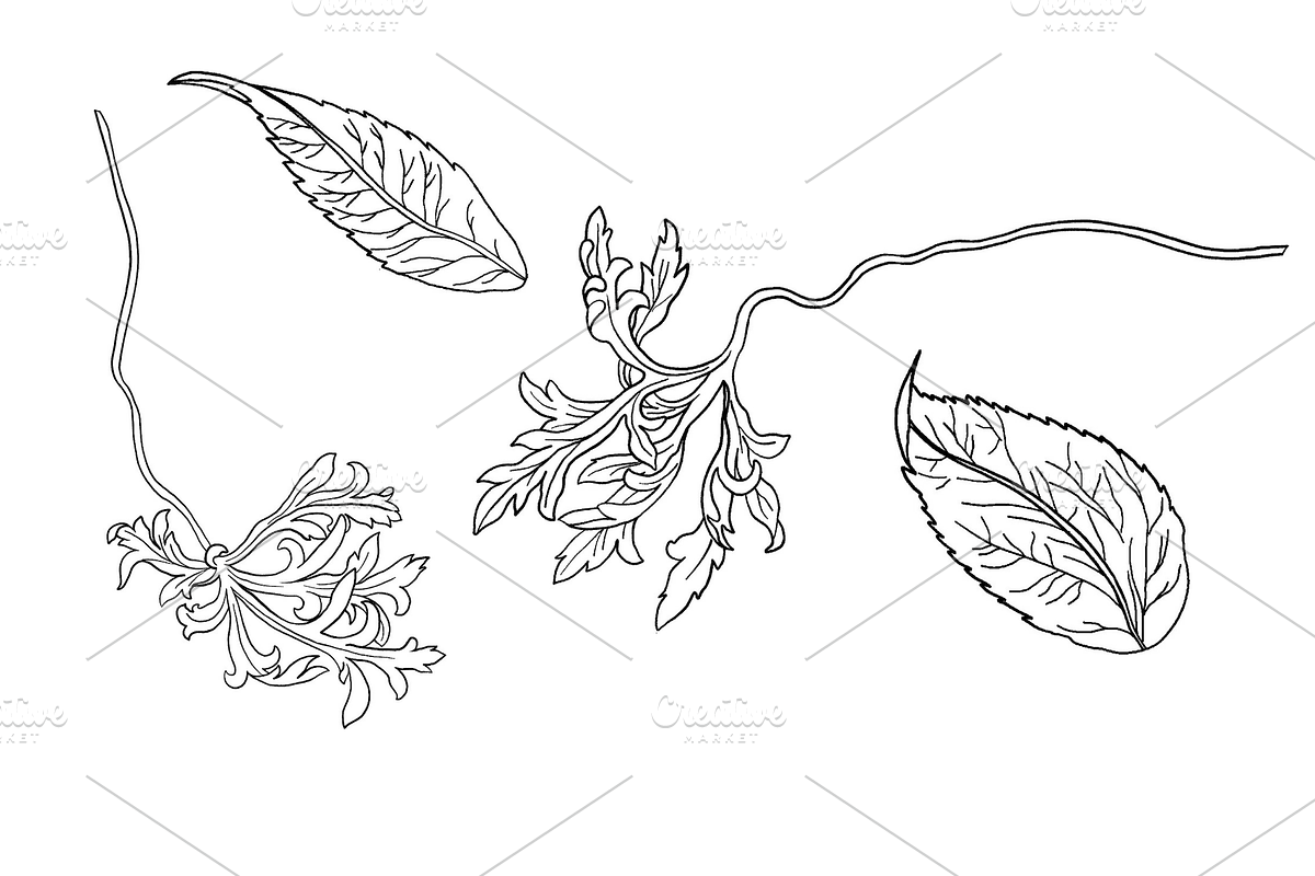 Sunflower Vine, an Object Graphic by VictoriaKStudio (Photo 5 of 5)
