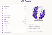 Watercolor Lavender Clipart Provence, a Decorative Illustration by Where summer is (Thumbnail 13 of 13)
