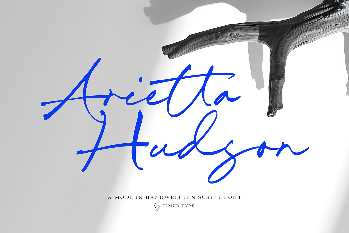 Arietta Hudson Font, a Script Font by Timurtype (Photo 1 of 7)